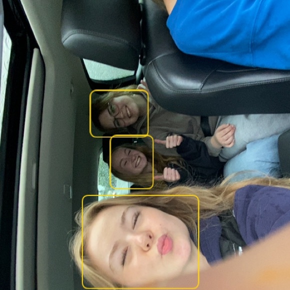 Meet your Posher, Rowan - Picture 1 of 1